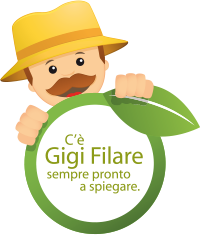 Gigi filare