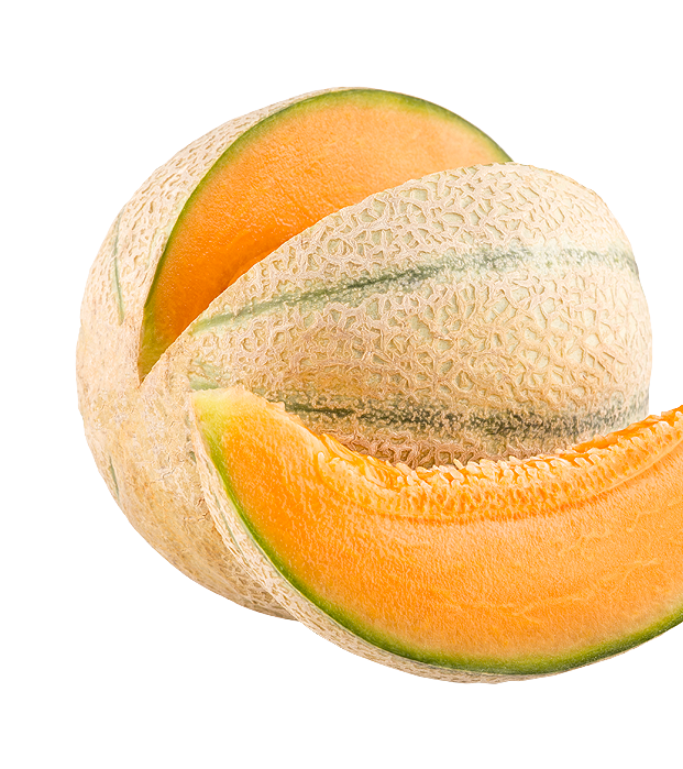 Il Melone