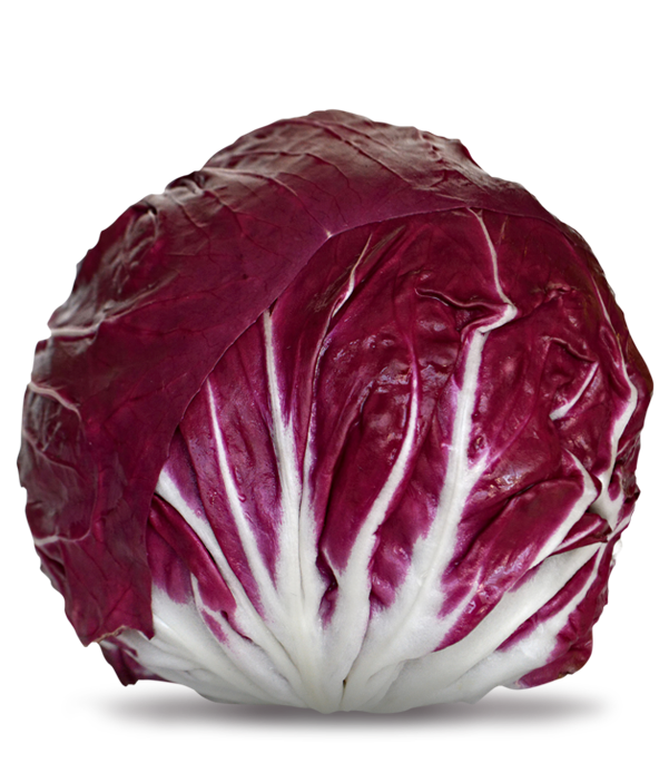 Il Radicchio