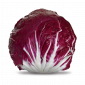 RADICCHIO HI