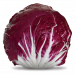 RADICCHIO HI