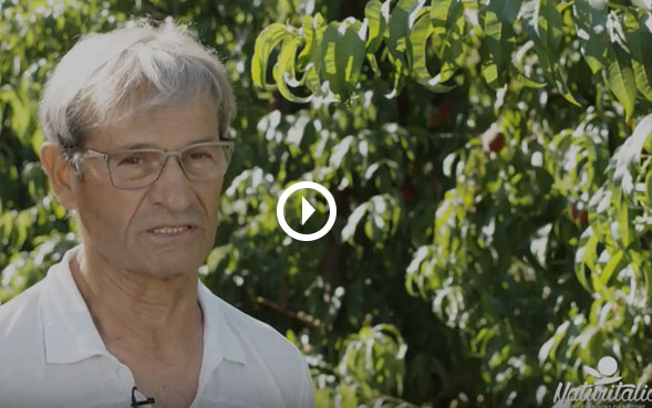 Agricoltore Nerio Servadei